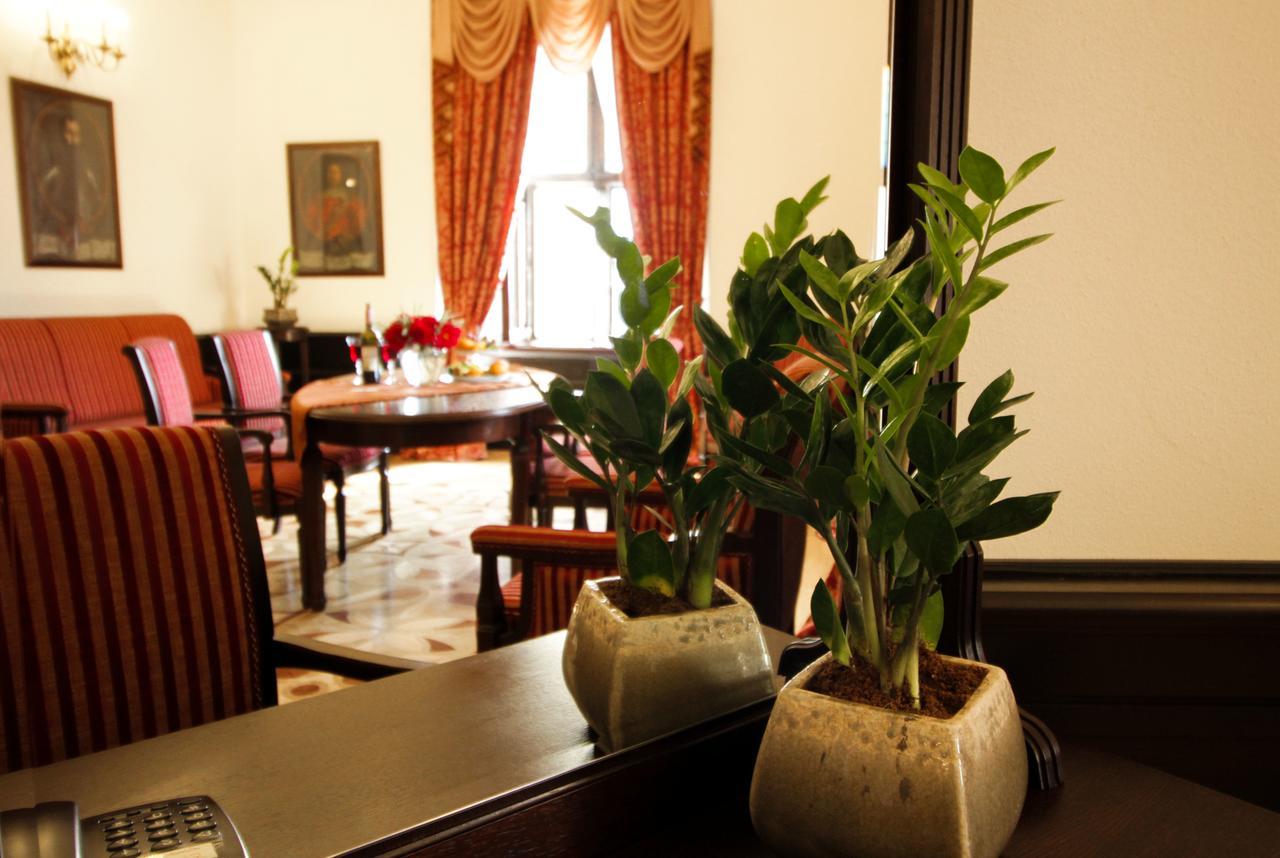 Palace Hotel Nyaszvizs Kültér fotó