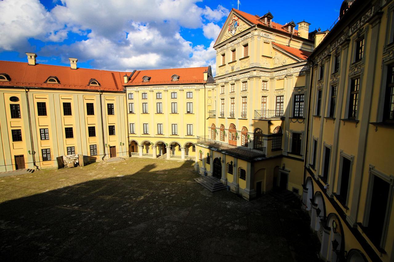 Palace Hotel Nyaszvizs Kültér fotó